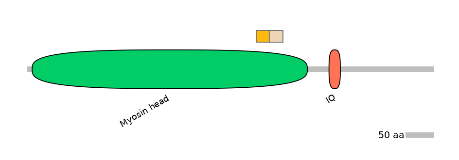 DreINT0014903-EXC