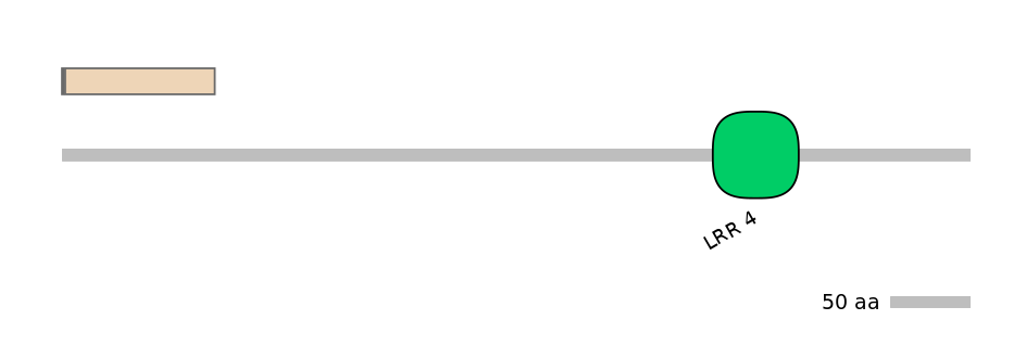 DreINT0017183-EXC