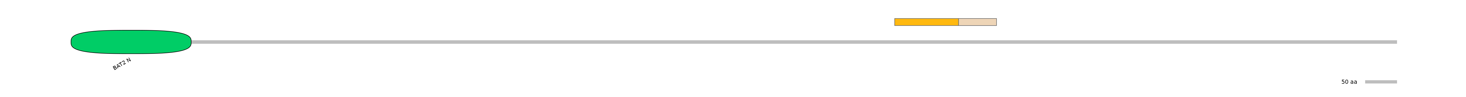 DreINT0017300-EXC