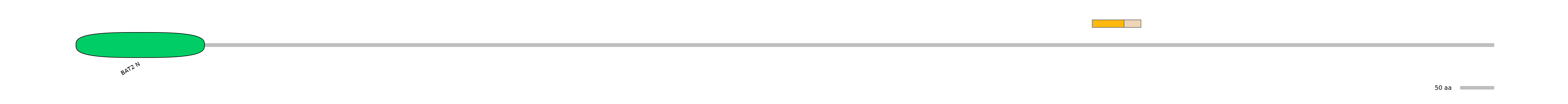 DreINT0017304-EXC