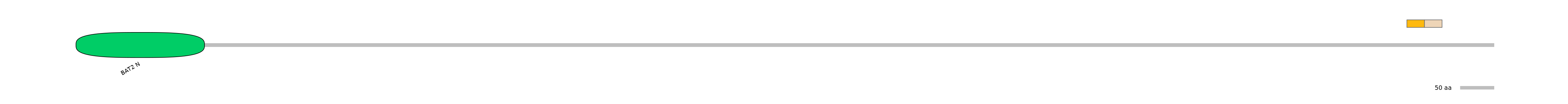 DreINT0017314-EXC