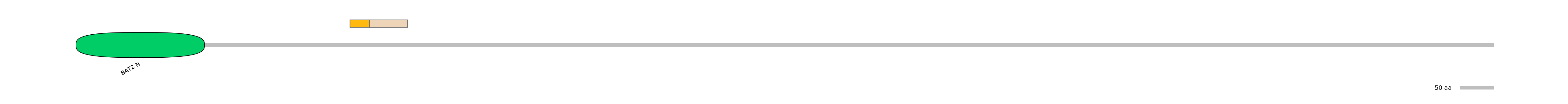 DreINT0017322-EXC