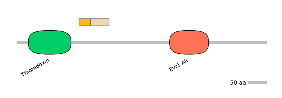 DreINT0017536-EXC