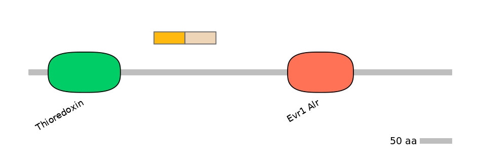 DreINT0017537-EXC