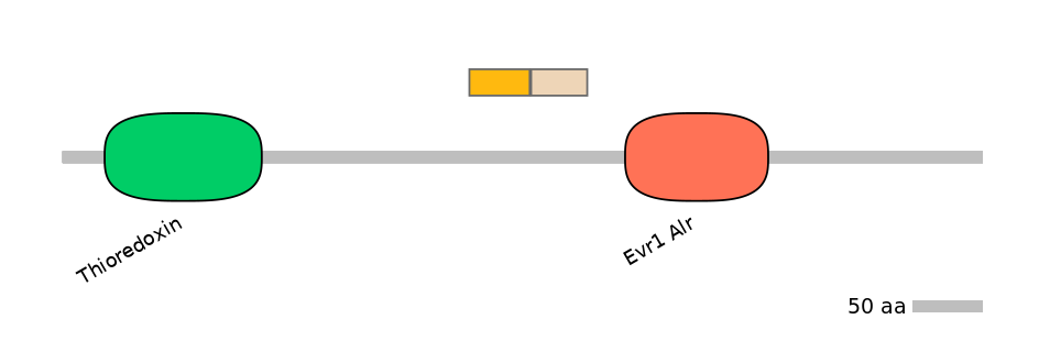 DreINT0017539-EXC
