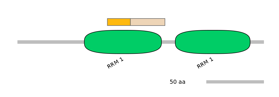 DreINT0017908-EXC