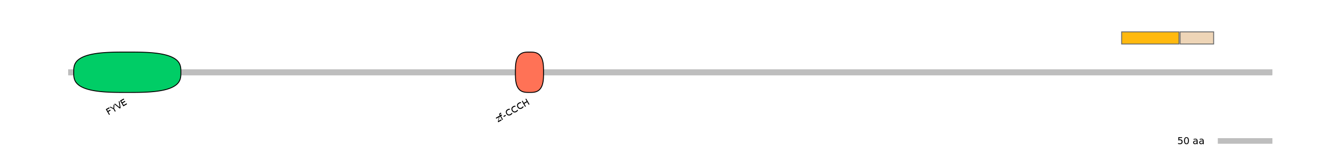DreINT0017922-EXC