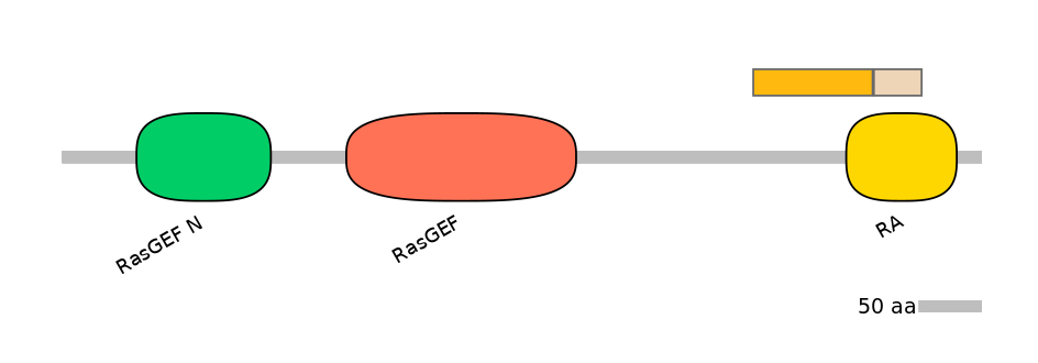 DreINT0018076-EXC