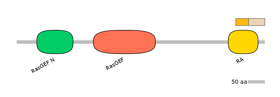 DreINT0018077-EXC