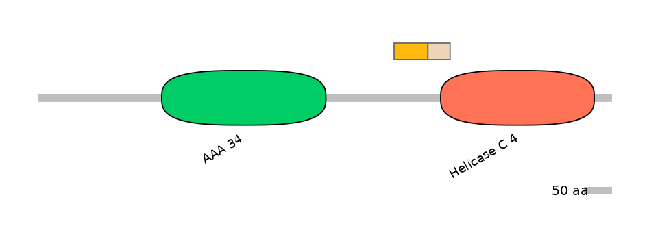 DreINT0018611-EXC