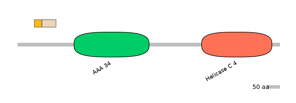 DreINT0018621-EXC