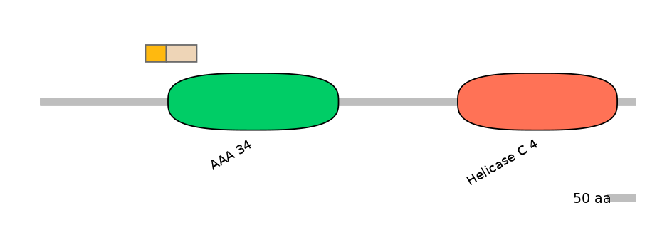 DreINT0018624-EXC