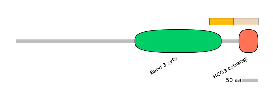 DreINT0019520-EXC