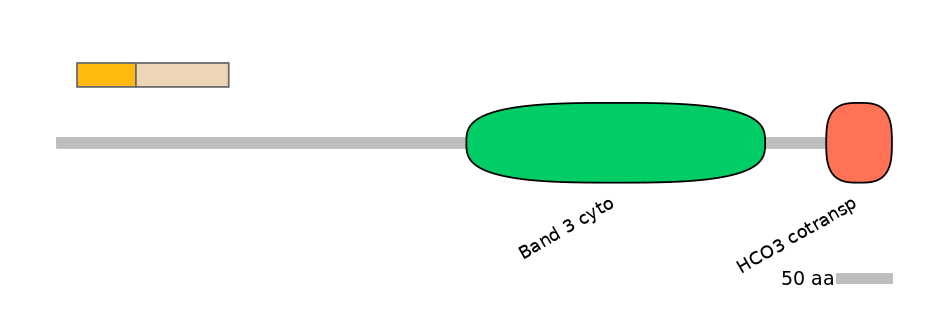 DreINT0019522-EXC