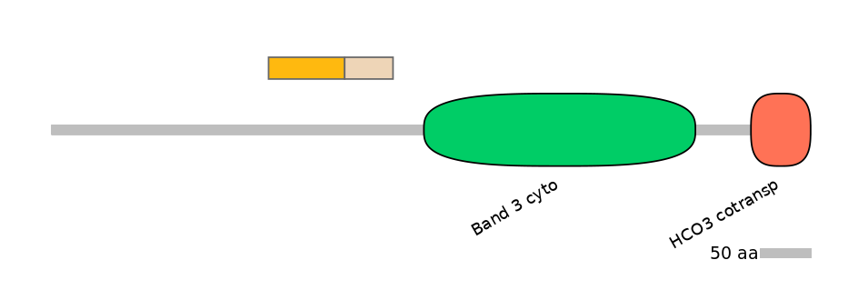 DreINT0019525-EXC
