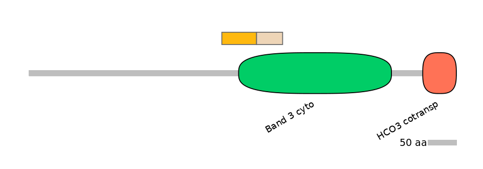 DreINT0019527-EXC
