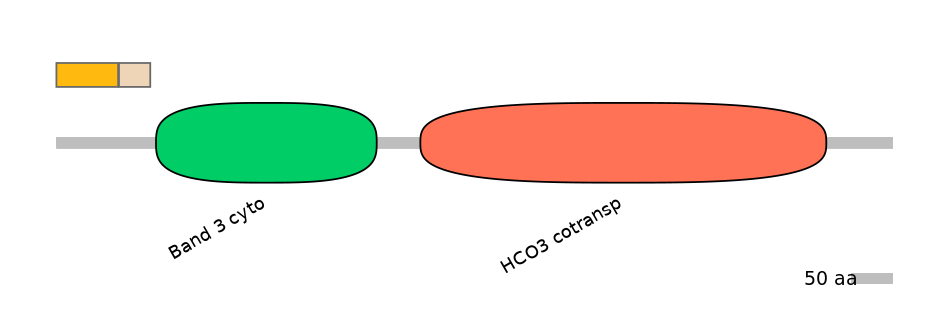 DreINT0019529-EXC