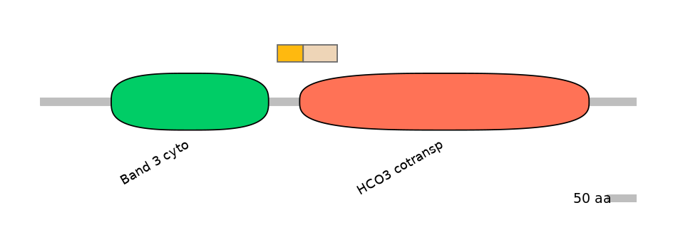 DreINT0019530-EXC