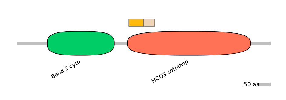 DreINT0019531-EXC