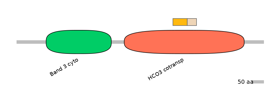 DreINT0019534-EXC