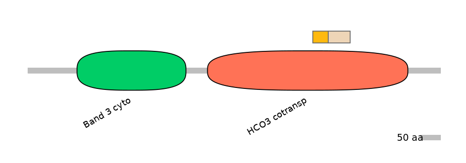 DreINT0019535-EXC