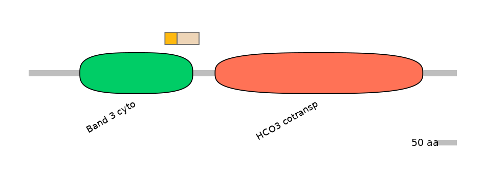 DreINT0019547-EXC
