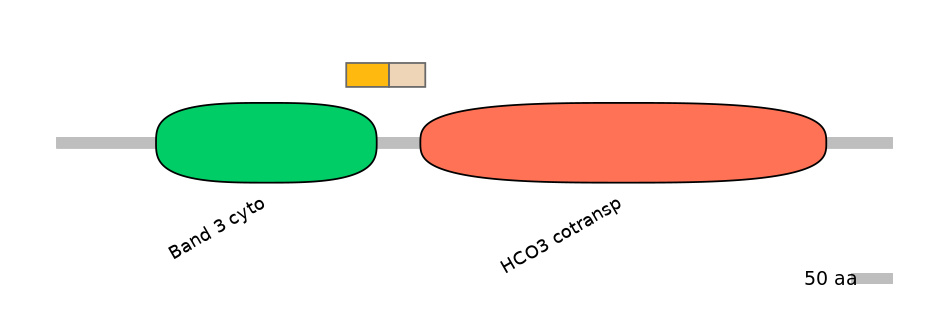 DreINT0019548-EXC