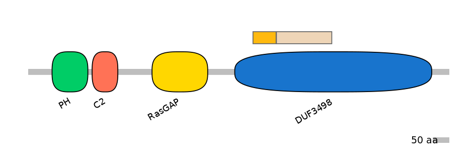 DreINT0020550-EXC