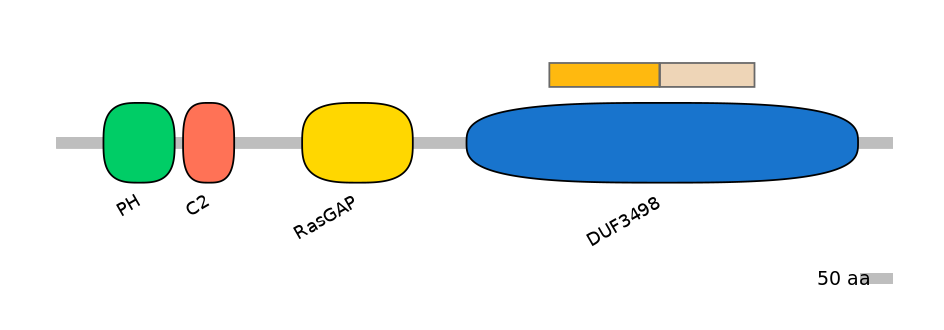 DreINT0020551-EXC