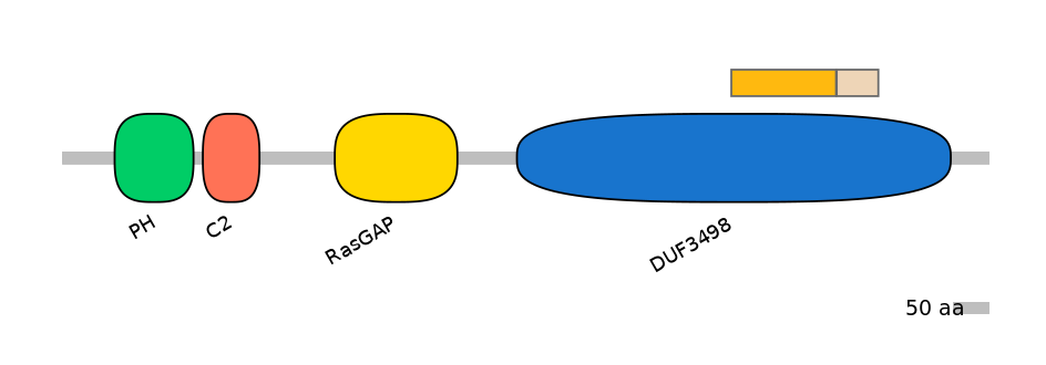 DreINT0020552-EXC