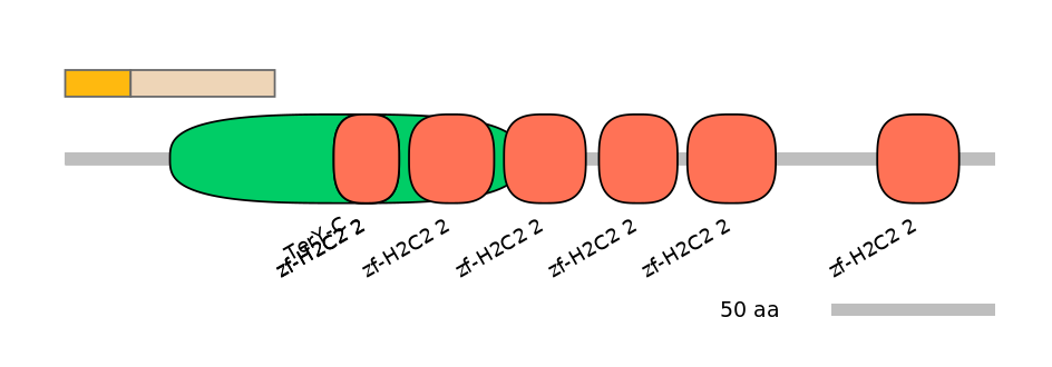 DreINT0023148-EXC