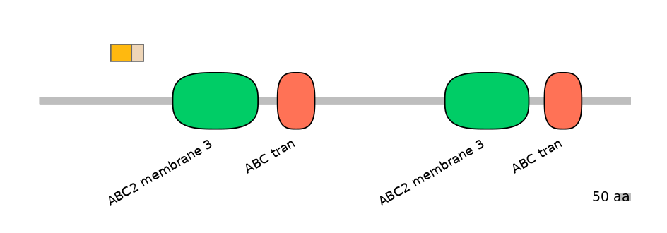 DreINT0023592-EXC