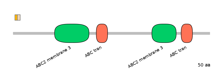 DreINT0023593-EXC