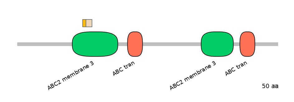 DreINT0023595-EXC