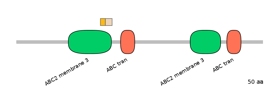 DreINT0023600-EXC