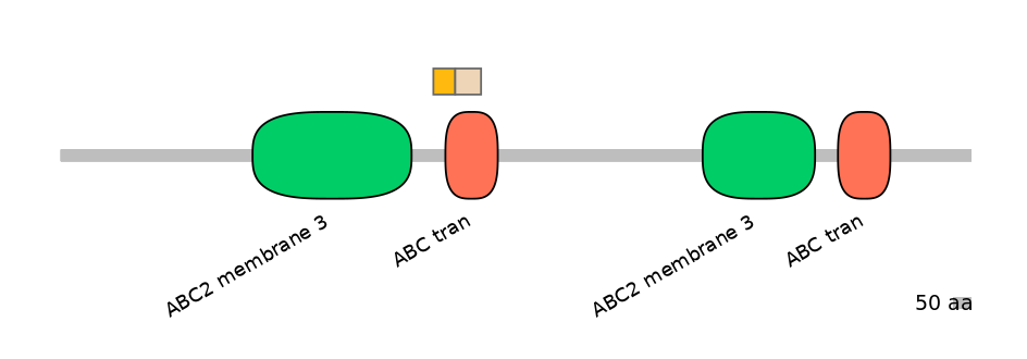 DreINT0023603-EXC