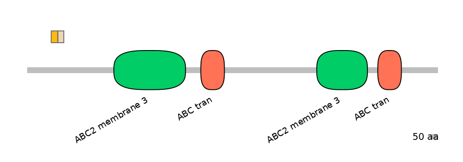 DreINT0023626-EXC