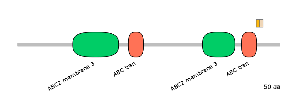 DreINT0023629-EXC