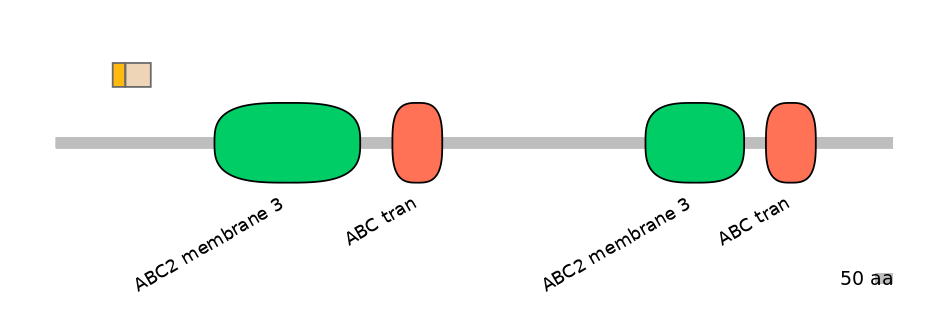 DreINT0023634-EXC