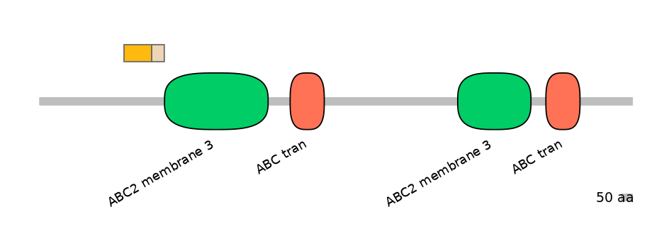 DreINT0023636-EXC