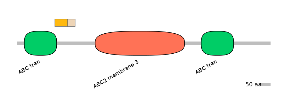 DreINT0023653-EXC