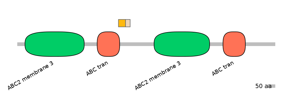 DreINT0023719-EXC