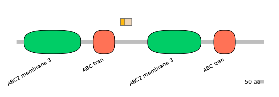 DreINT0023720-EXC