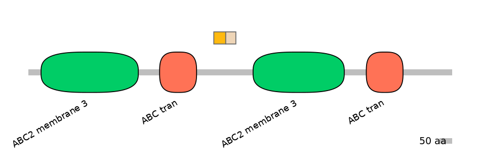DreINT0023721-EXC