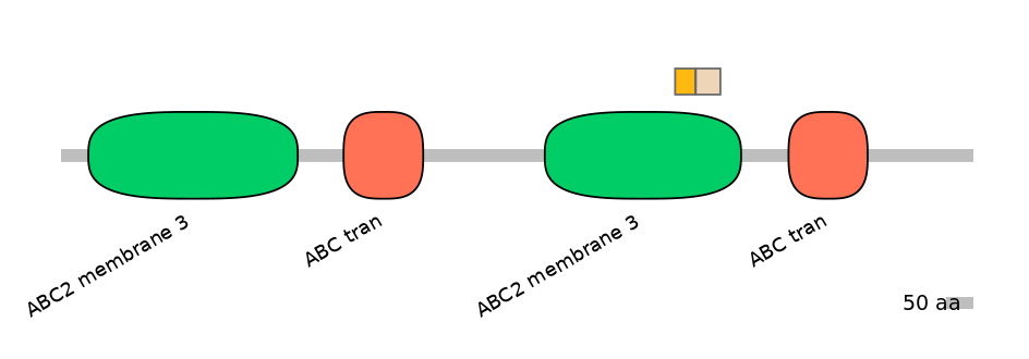 DreINT0023730-EXC