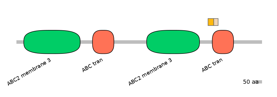 DreINT0023736-EXC