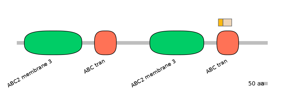 DreINT0023737-EXC