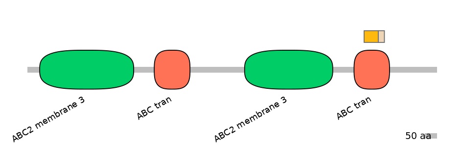 DreINT0023738-EXC