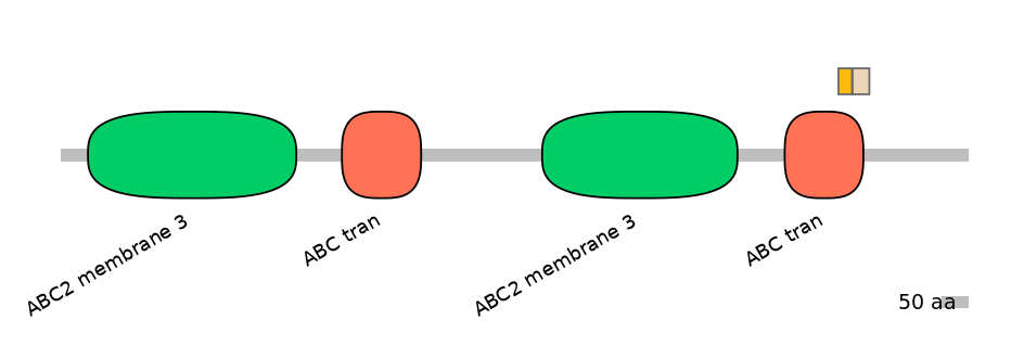 DreINT0023739-EXC
