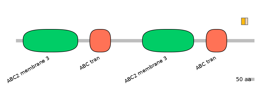 DreINT0023743-EXC